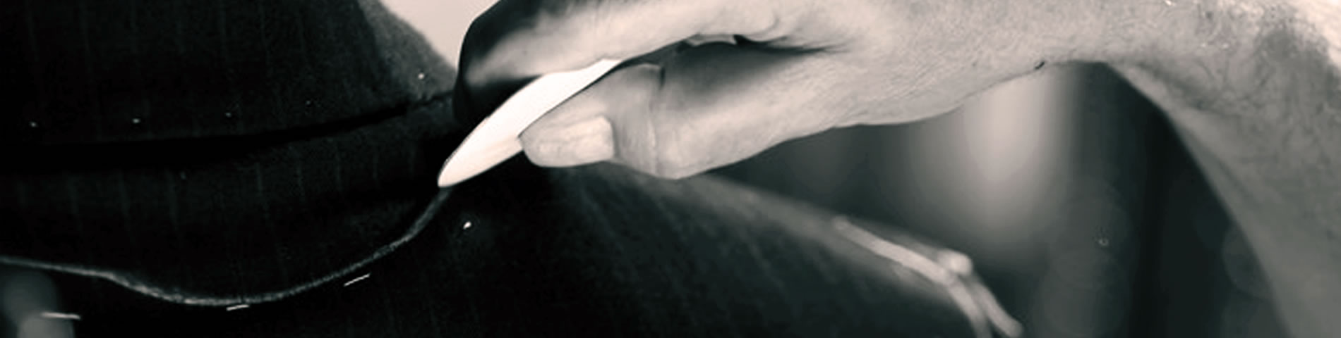 banner image 2